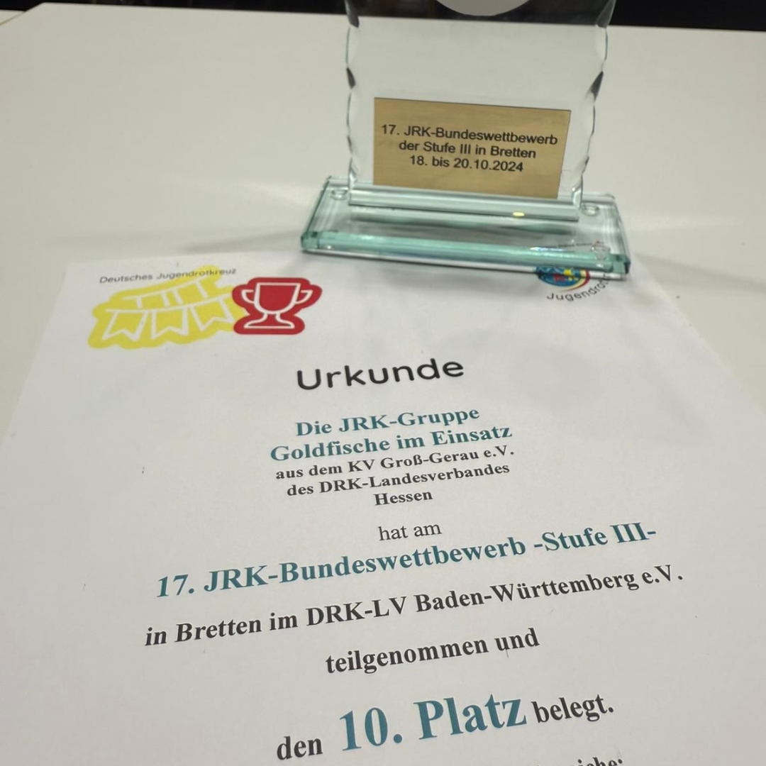 Team "Goldfische im Einsatz" des DRK-Ortsvereins Mainspitze belegt 10. Platz!